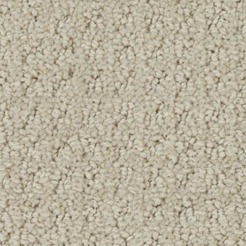 Nyluxe Sdn - Costa Concordia Ii - Sbastien'S Beige