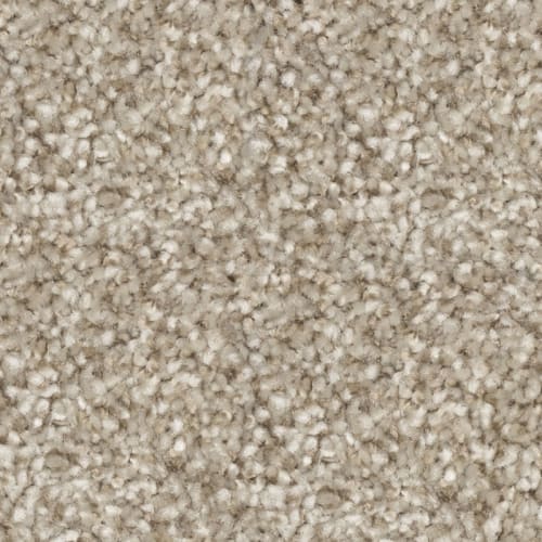 Nyluxe Petguard Tri Twist - Marvel - Semitone