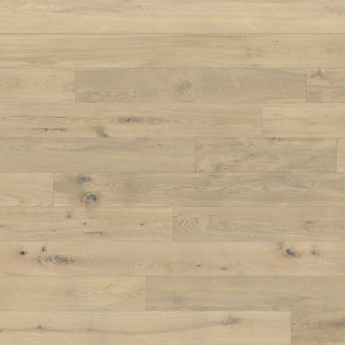 Designer Collection - Serenity