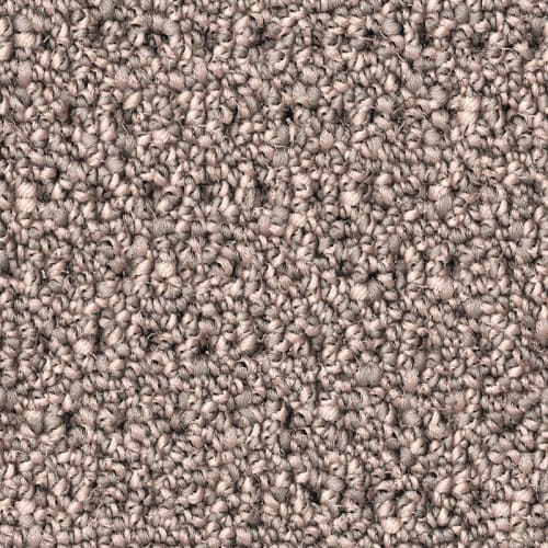 Nyluxe Petguard - Polka Dot - Silex Grey