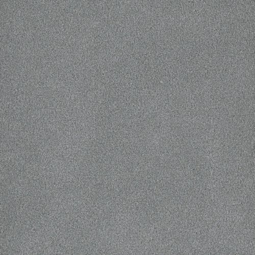 Palmetto Ii - Skylight