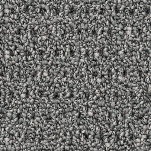 Nyluxe Petguard - Polka Dot - Smoke Grey