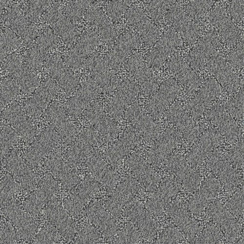 Nyluxe Petguard - Snowscape - Smoke Grey