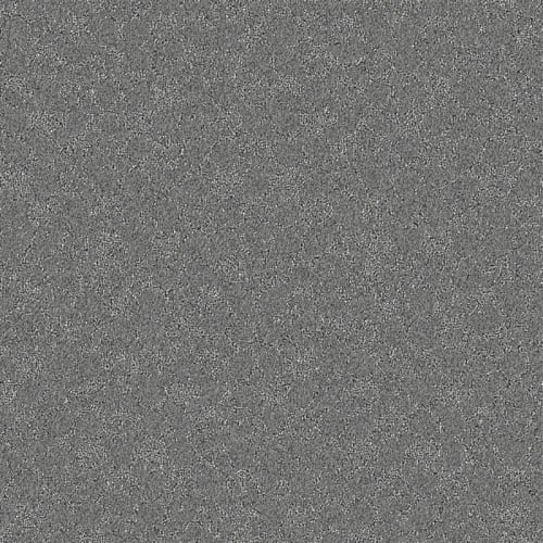 Nyluxe Petguard - Cloudscape - Smoke Grey