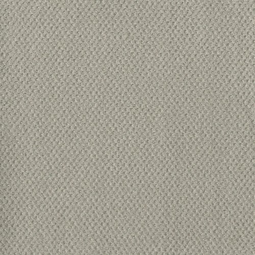 Prime - Snow Cap