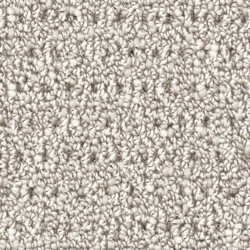 Nyluxe Petguard - Polka Dot - Snowfall