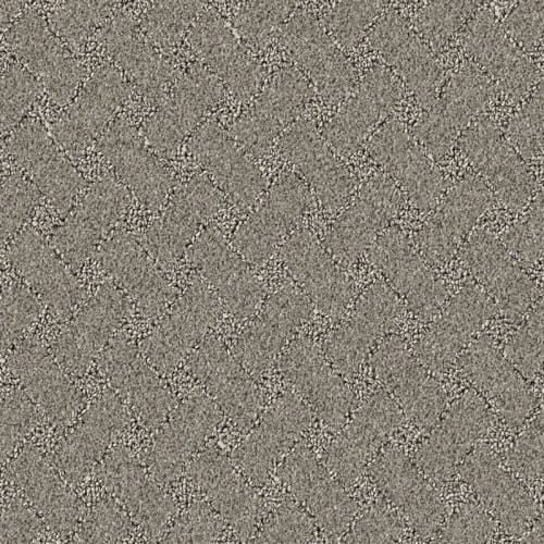 Nyluxe Petguard - Snowscape - Sparrow Grey