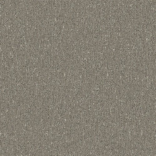 Nyluxe Petguard - Spiderweb - Sparrow Grey