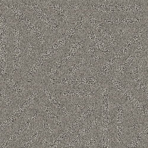 Nyluxe Petguard - Waterscape - Sparrow Grey