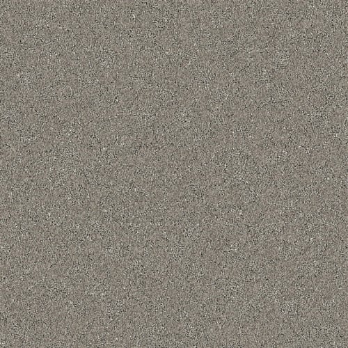 Nyluxe Petguard - Cloudscape - Sparrow Grey