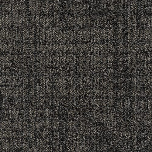 Quadra - Sweet Brownies