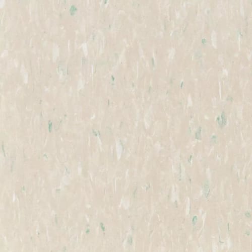 Vct Ii - Palm