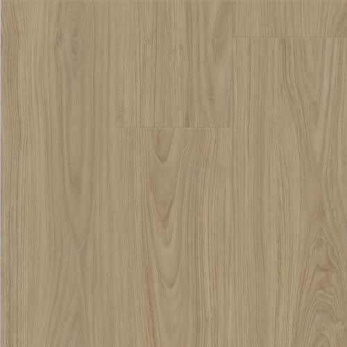 Nugen - Click - Lacebark Elm Wheat