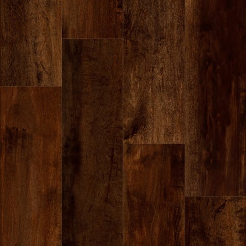 Progen - Stained Maple Carmine
