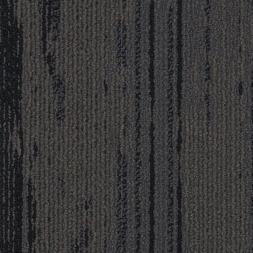 Magnetism - Thin Brown