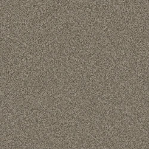 Blazer Ii - Umber
