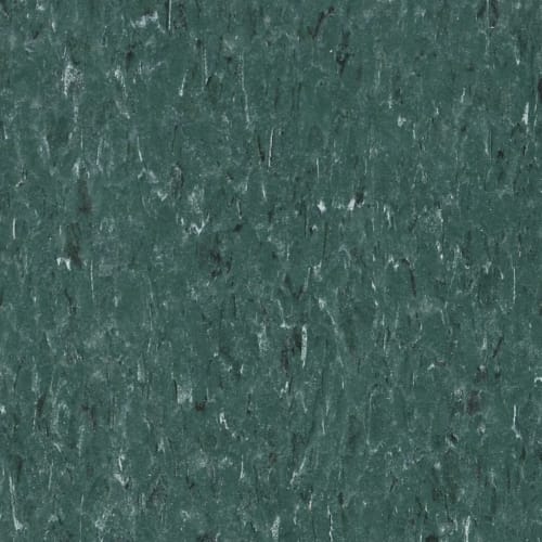 Vct Ii - Dark Forest