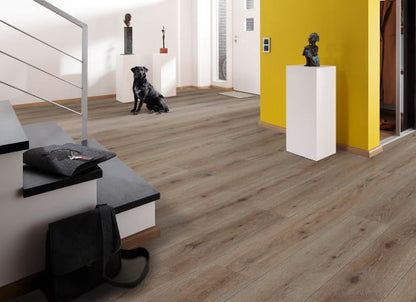 #sku_WF196BF01