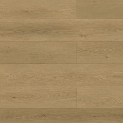 Waterfront in Oyster Oak
