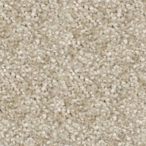 Nyluxe Petguard Tri Twist - Prodigy - Warm Grey