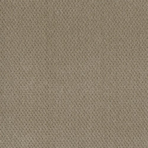 Prime - Warm Sand