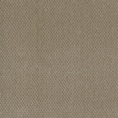 Moon Bay - Warm Sand