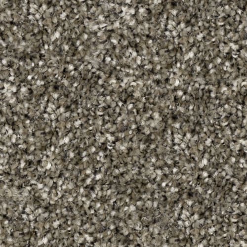 Tryesse Tri-Color - Stadium - Wet Concrete