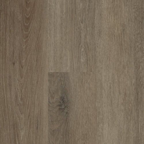 Wildwood - Tan Oak