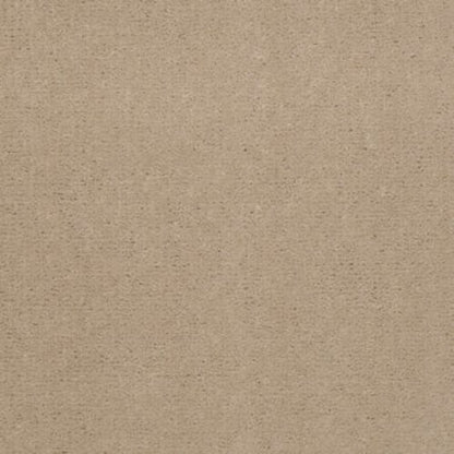 Registry 30 - Tahoe Tan