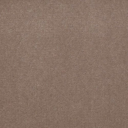 Registry 30 - Beige Leather