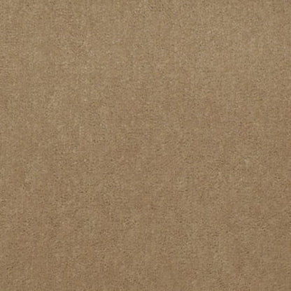Registry 30 - Explorer Beige