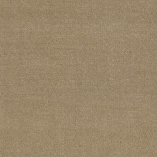 Registry 30 - Stratus Camel