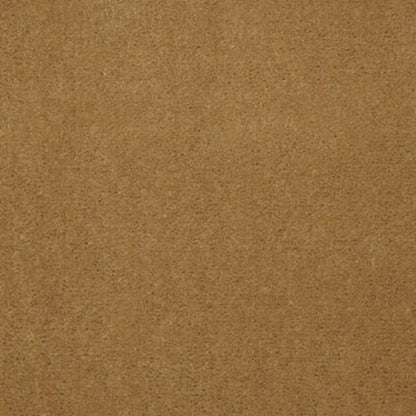 Registry 30 - Wrangler Gold