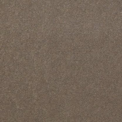 Registry 30 - Tempo Taupe