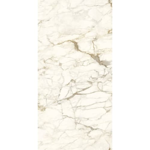 Ultra Marmi - Calacatta Macchiavecchia 60X120