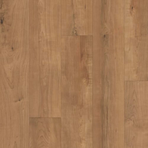 Restoration Collection - Harmony - Bento