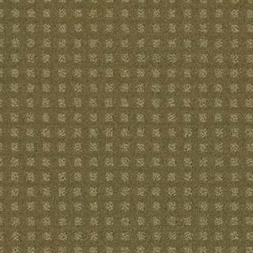 Nottingham - Aloe