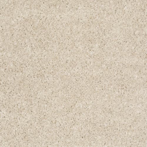 Dreamin' 12' - Sand Dollar