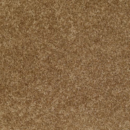Dreamin' 12' - New Cork
