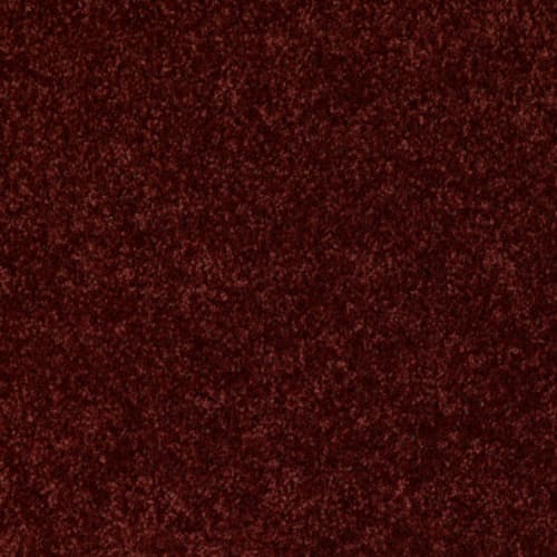 Dreamin' 12' - Cayenne