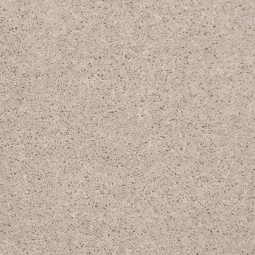 All Star Weekend I 15' - Butter Cream