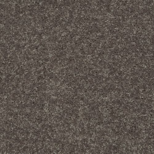 All Star Weekend I 15' - Driftwood