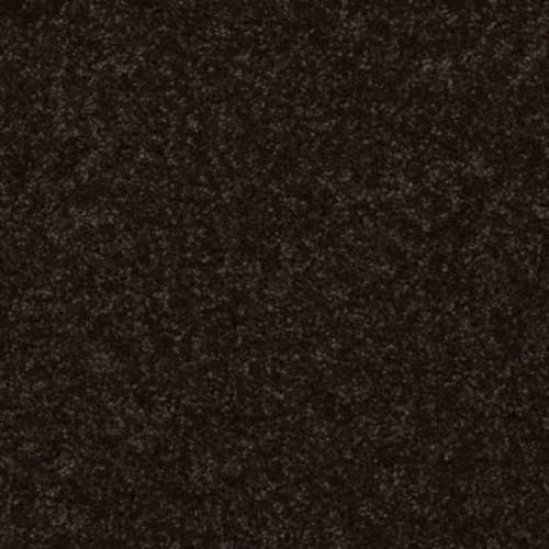 All Star Weekend I 15' - Coffee Bean