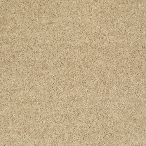 All Star Weekend Ii 15' - Crumpet