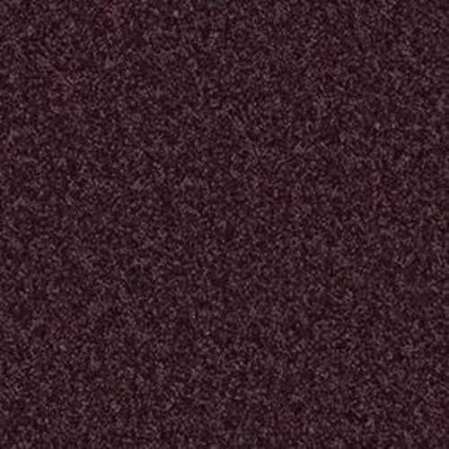 All Star Weekend I 12' - Royal Purple