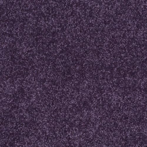 All Star Weekend Ii 12' - Grape Slushy