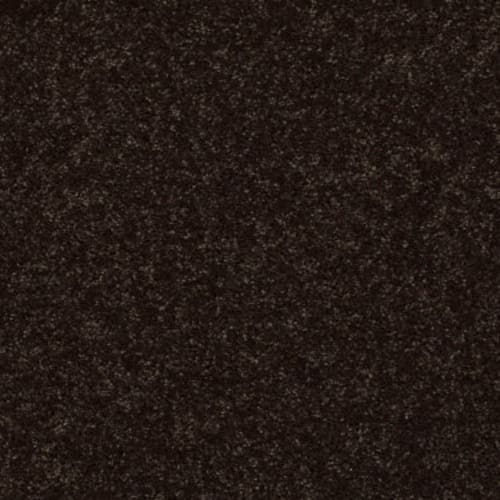 All Star Weekend Iii 12' - Coffee Bean