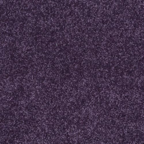 All Star Weekend Iii 15' - Grape Slushy