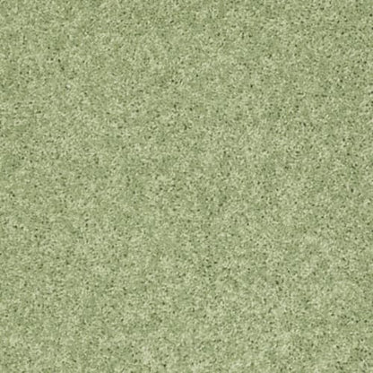 Kid Crossing - Limeade