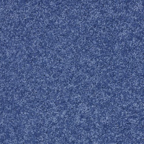 Kid Crossing - Cobalt Vibe